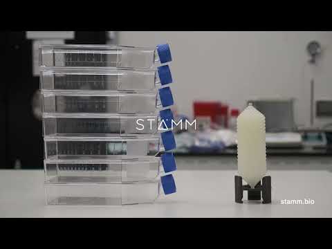 Show: Product video