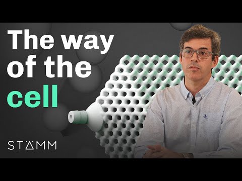 Show: product video